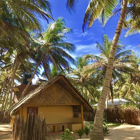 Seahorse Beach Resort カルピティヤ エクステリア 写真