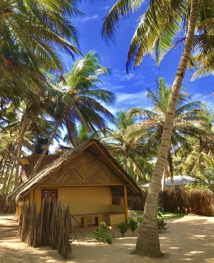 Seahorse Beach Resort カルピティヤ エクステリア 写真